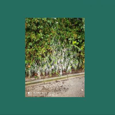 20221221151725 20221221151725