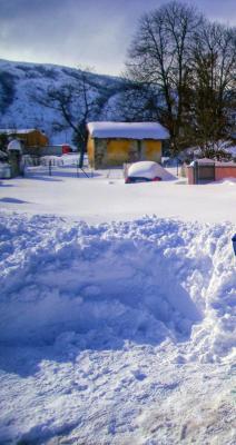 img_20220203_150141 img_20220203_150141