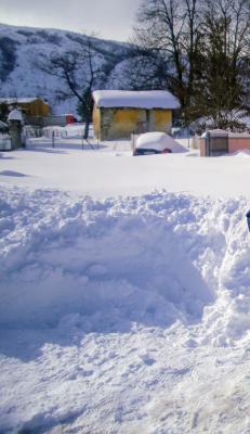 img_20221226_154506 img_20221226_154506