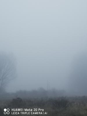 img_20221228_163103 img_20221228_163103