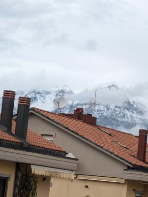 pxl_20240503_143715949