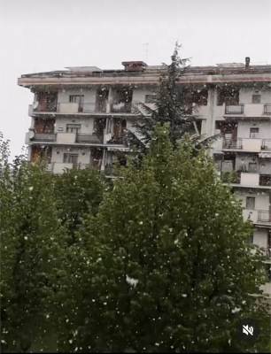 screenshot_20240424_123630