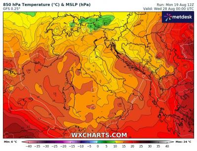 850temp_20240819_12_204