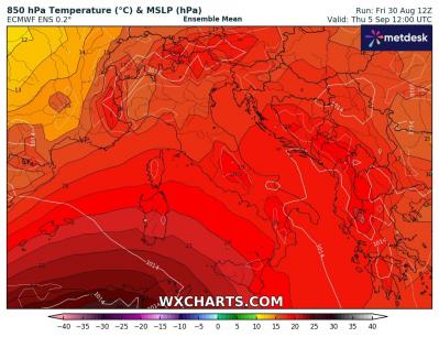 850temp_20240830_12_144