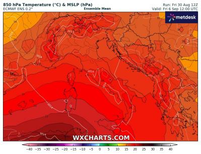 850temp_20240830_12_168_1