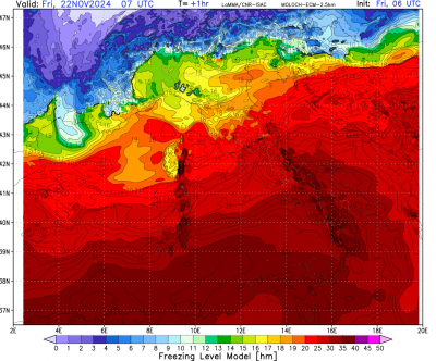 frzlm_z1_2_1732286287_115712