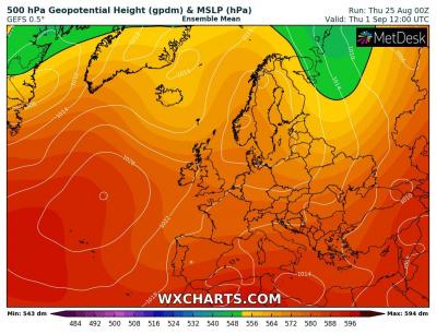 gh500_20220825_00_180