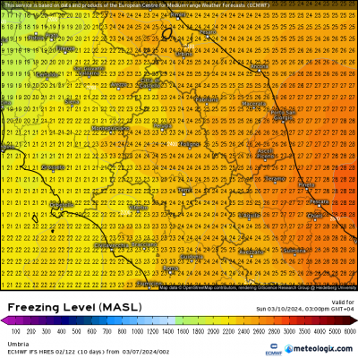 xx_model_en_354_0_modez_2024030700_83_1181_304 xx_model_en_354_0_modez_2024030700_83_1181_304