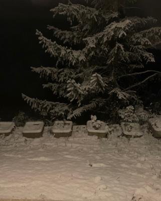 img_7801_1585089373_379642