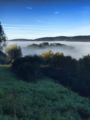 nebbia_1416477929_427988