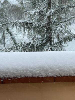 whatsapp_image_2021_02_13_at_10_14_45_1