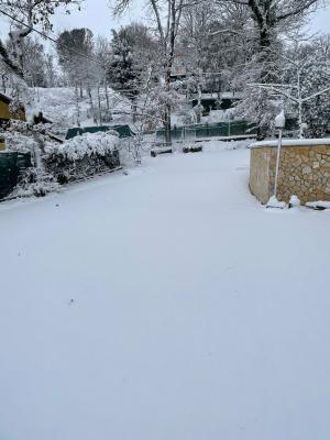 whatsapp_image_2021_02_13_at_10_46_32