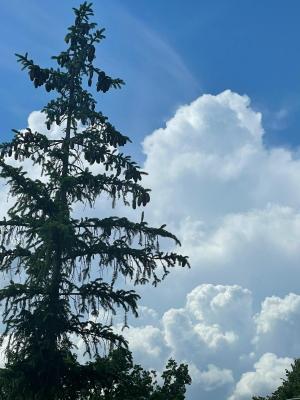 whatsapp_image_2021_06_07_at_15_37_35 whatsapp_image_2021_06_07_at_15_37_35