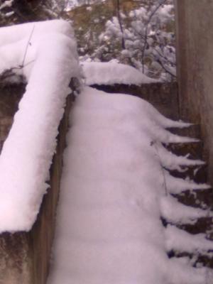 neve_748_1329074713_898652 neve_748_1329074713_898652
