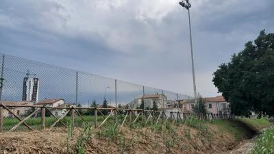 20230609_175936 20230609_175936