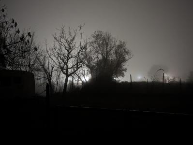 img_20231207_wa0037 img_20231207_wa0037