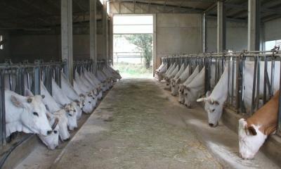 10_07_09_022 10_07_09_022