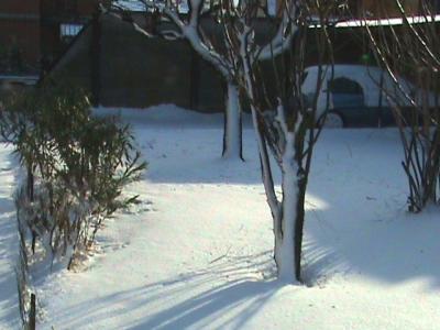 dsc00654