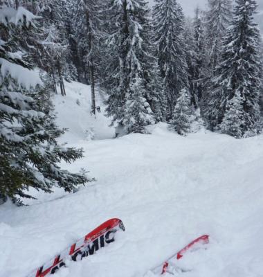 20671_243412424290_824989290_3028192_4102990_n