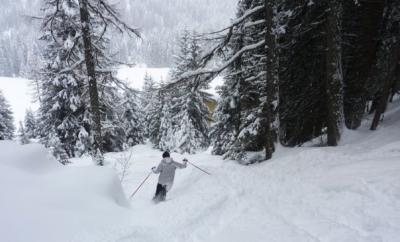 20671_243412439290_824989290_3028194_6316496_n