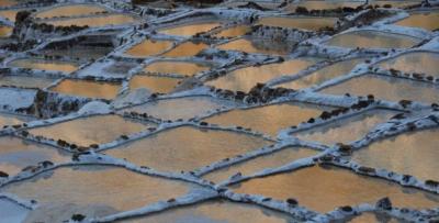 5650_109514579290_824989290_2039212_4837382_n 5650_109514579290_824989290_2039212_4837382_n