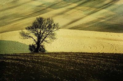 artwork_images_424386373_465312_franco_fontana