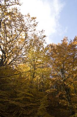 dsc_0040_1256998692_897458 dsc_0040_1256998692_897458