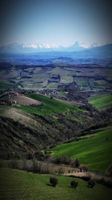 img_20210408_184059_copy_1620x2880