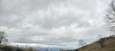 20250226_121951 20250226_121951