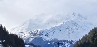 20250226_202813 20250226_202813