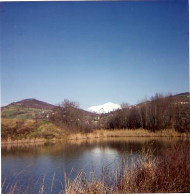 m_cucco_01