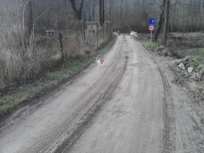 p28_12_10_15_12 p28_12_10_15_12