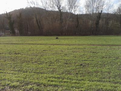 p28_12_10_15_15 p28_12_10_15_15