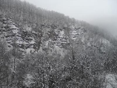 p31_01_11_11_16 p31_01_11_11_16