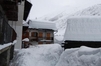 val_ferret_8_1325511120_848106