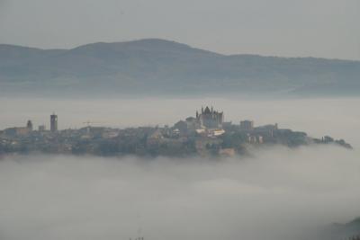 10832_1250409230377_1533872209_661780_4181001_n