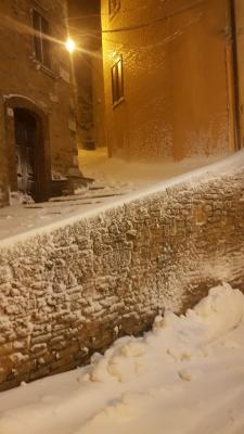 1f15247d_4283_4754_b976_2f3b12313001