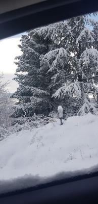 3cf86558_4f2a_40b1_9596_5b659ebd9c9d