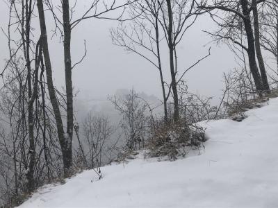 80346874_a511_41e1_910e_e1f4e1ffeee3 80346874_a511_41e1_910e_e1f4e1ffeee3