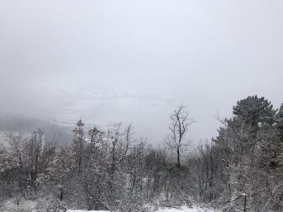 83c00b0c_3e81_4c63_8aaa_72b75ac6550a