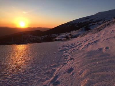 cucco_1522185672_888296