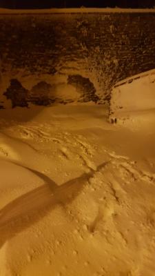 d8cde4c7_7238_44ba_8512_79a5f236fc6b