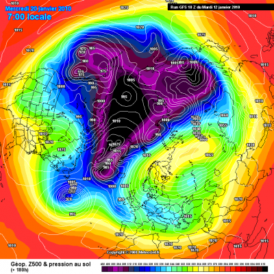 orso_immane_1263338294_161202
