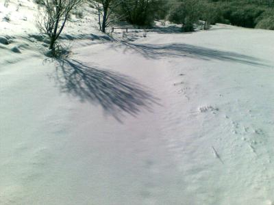 foto_160 foto_160