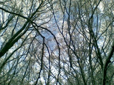 foto_183 foto_183