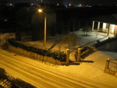 img_0536_1292445325_749832