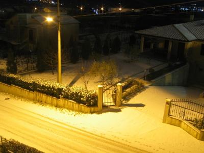 img_0537_1292445370_610082