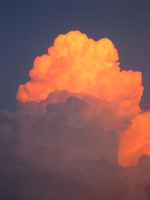 img_9792_1278359970_816855