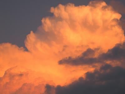 img_9793_1278360006_262651