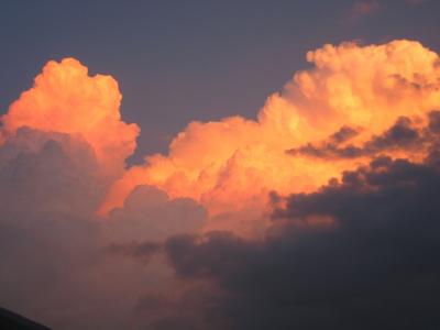 img_9794_1278359917_820608